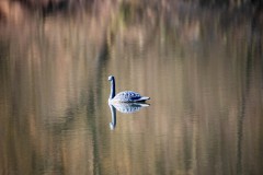 IMG_2891