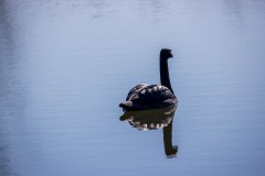 IMG_2917